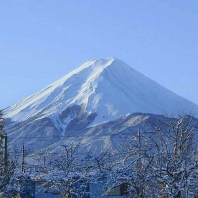 逆九州官方版下载